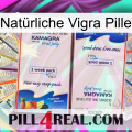 Natürliche Vigra Pille kamagra1